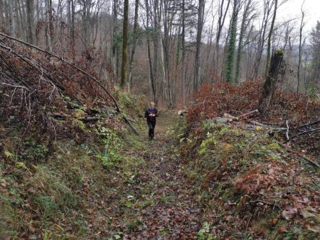 Urejanje pohodne poti Speca lepotica 3, foto I Zaplotnik